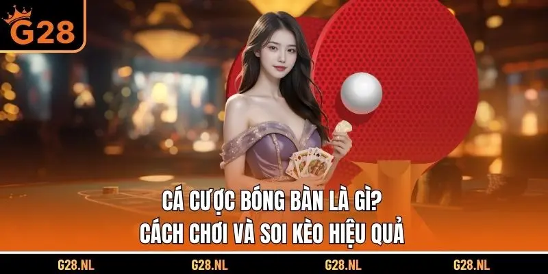 Cá Cược Bóng Bàn Là Gì? Cách Chơi Và Soi Kèo Hiệu Quả
