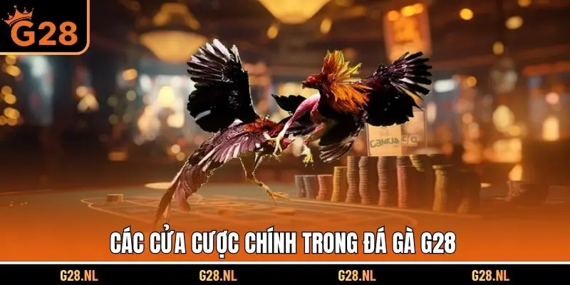 Các cửa cược chính trong đá gà G28