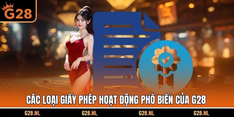 Các loại giấy phép hoạt động phổ biến của G28
