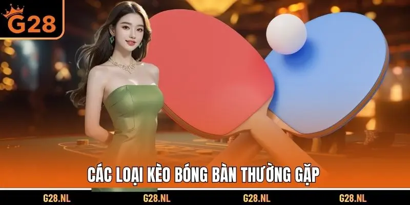 Các loại kèo bóng bàn bạn thường hay gặp