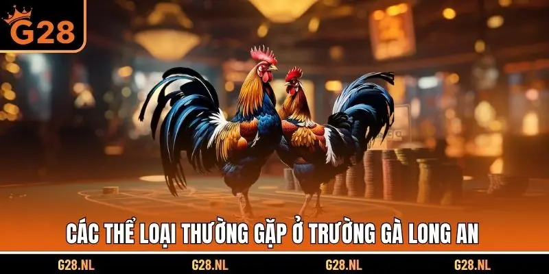 Các thể loại thường gặp ở trường gà long an