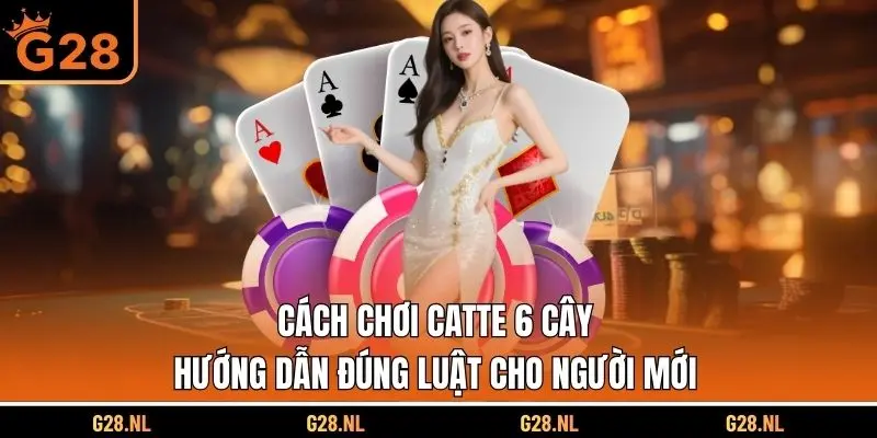 Cách chơi Catte 6 cây