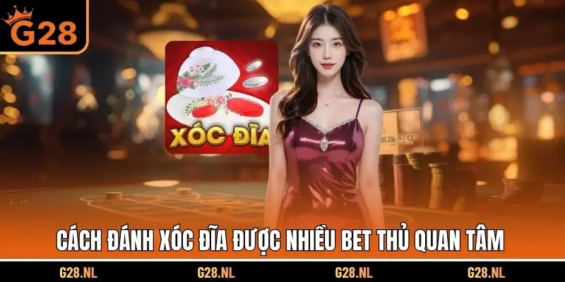 Cách đánh xóc đĩa được nhiều bet thủ quan tâm tìm hiểu