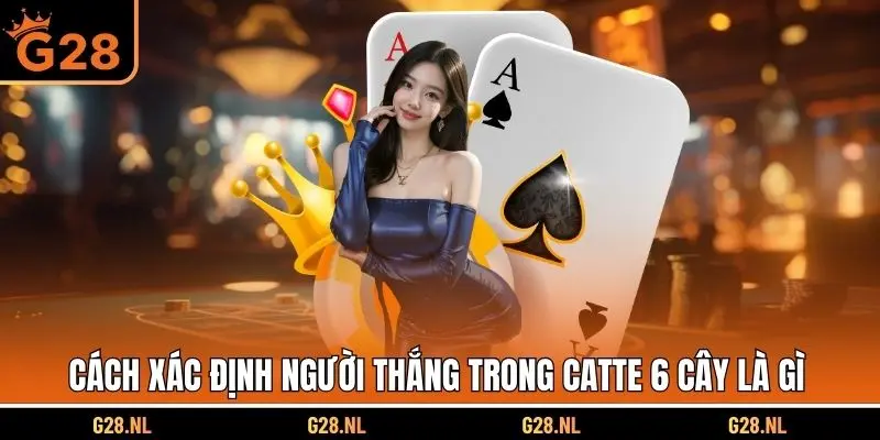 Cách xác định người thắng trong Catte 6 cây là gì