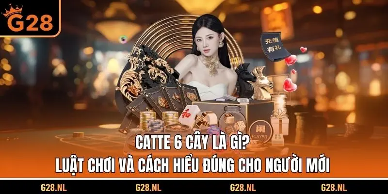 Catte 6 cây là gì? Luật chơi và cách hiểu đúng cho người mới