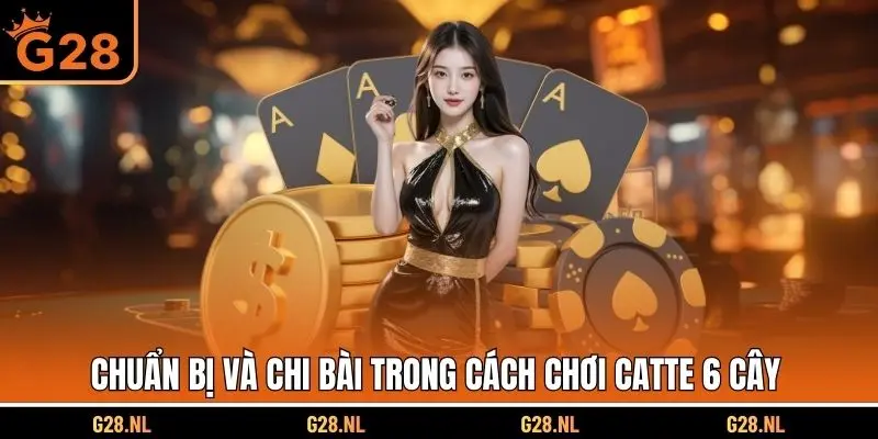 Chuẩn bị và chi bài trong cách chơi Catte 6 cây