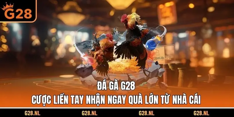 Đá Gà G28 - Cược Liền Tay Nhận Ngay Quà Lớn Từ Nhà Cái
