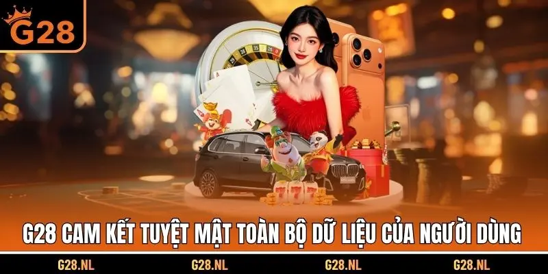 G28 cam kết tuyệt mật toàn bộ dữ liệu của người dùng