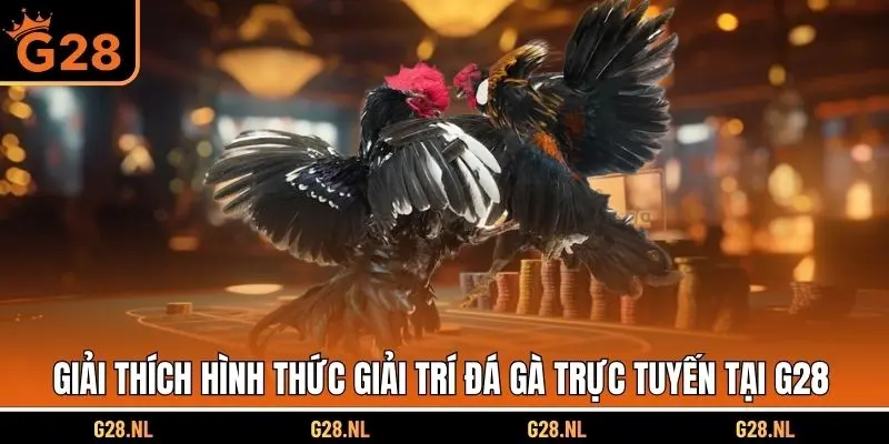 Giải thích hình thức giải trí đá gà trực tuyến tại G28