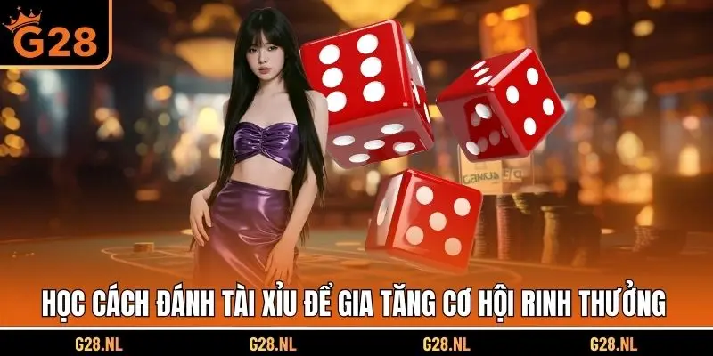Học cách đánh tài xỉu để gia tăng cơ hội rinh thưởng