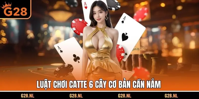 Luật chơi Catte 6 cây cơ bản cần nắm